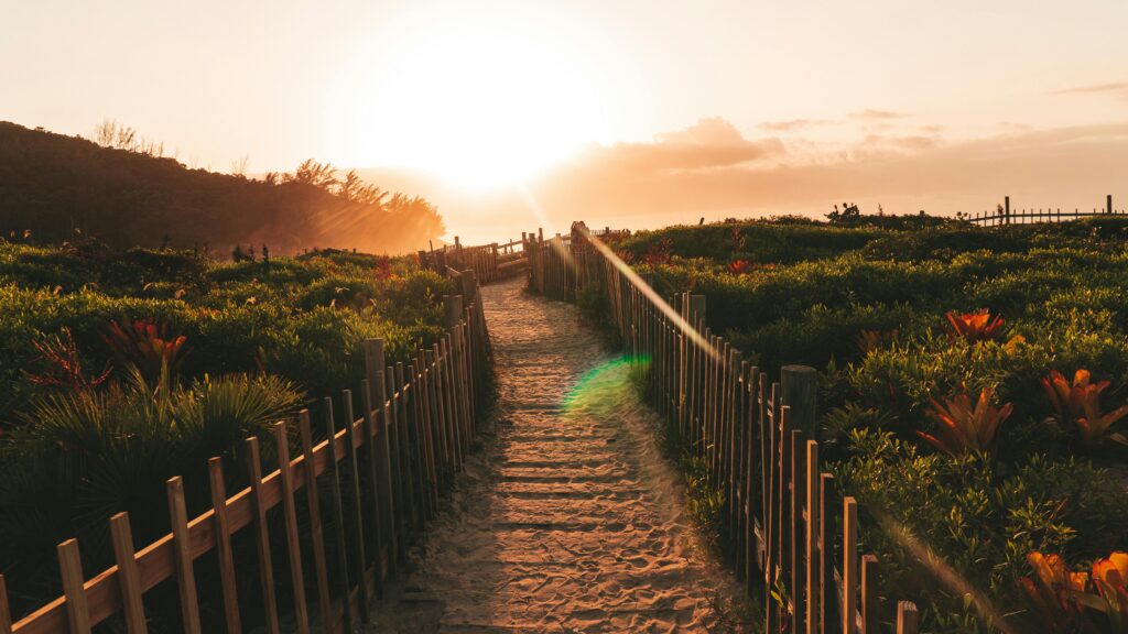 O Paraiso