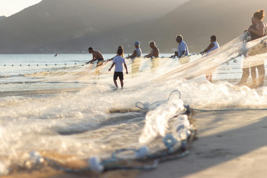 Todo ano, entre maio e julho, as praias de Garopaba, no litoral sul de Santa Catarina, se transformam em palco para um dos espetáculos mais autênticos da tradição pesqueira brasileira.